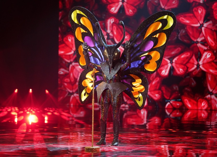 Fans delighted to see Patsy Palmer as the Butterfly on The Masked Singer - evoke.ie - Australia - Britain - South Korea