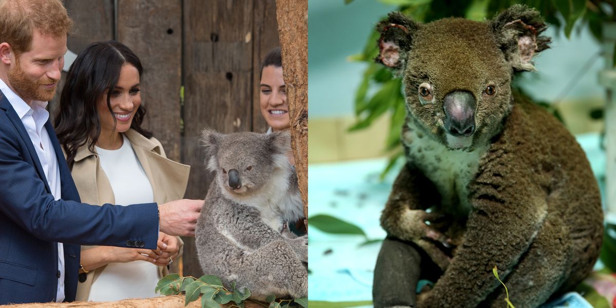 Meghan Markle and Prince Harry Encourage Fans to Donate to Australian Wildfire Relief - www.harpersbazaar.com - Australia