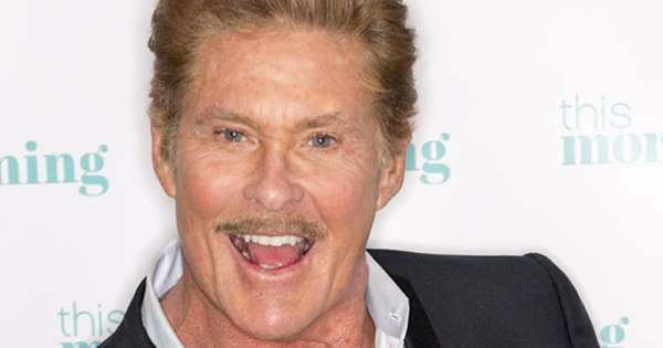 David Hasselhoff ditching the States - for a sheep farm in Wales - www.msn.com