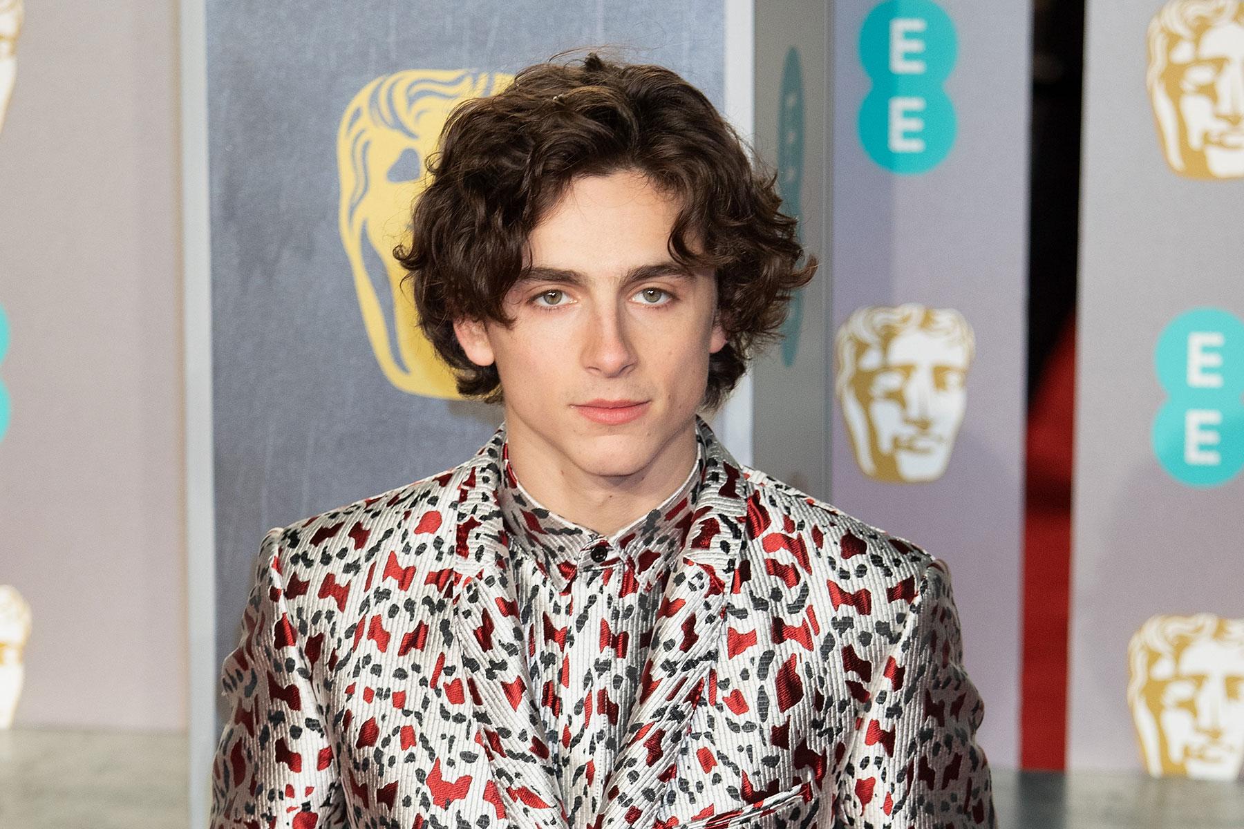 Timothée Chalamet in talks to play Bob Dylan in new biopic – report - www.hollywood.com