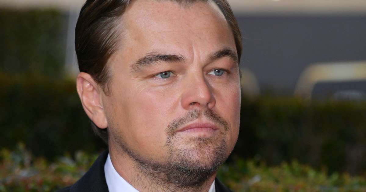 DiCaprio 'helps save man from drowning after cruise ship fall' - www.msn.com - parish St. Martin