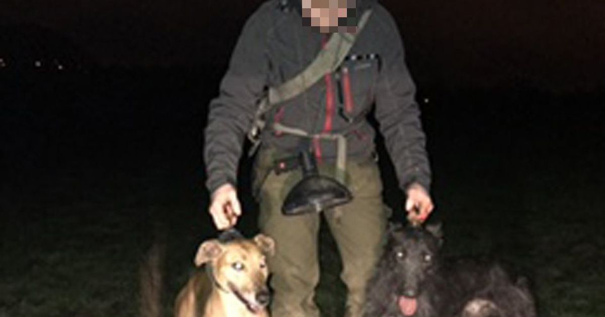 Dog with horrific injuries put down after depraved Scots thug forced it to fight badgers - www.dailyrecord.co.uk - Scotland