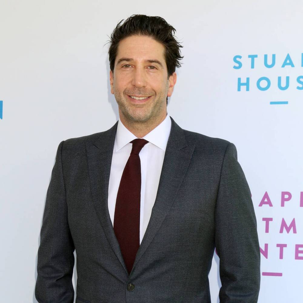 David Schwimmer tweets apology over Living Single ‘snub’ - www.peoplemagazine.co.za