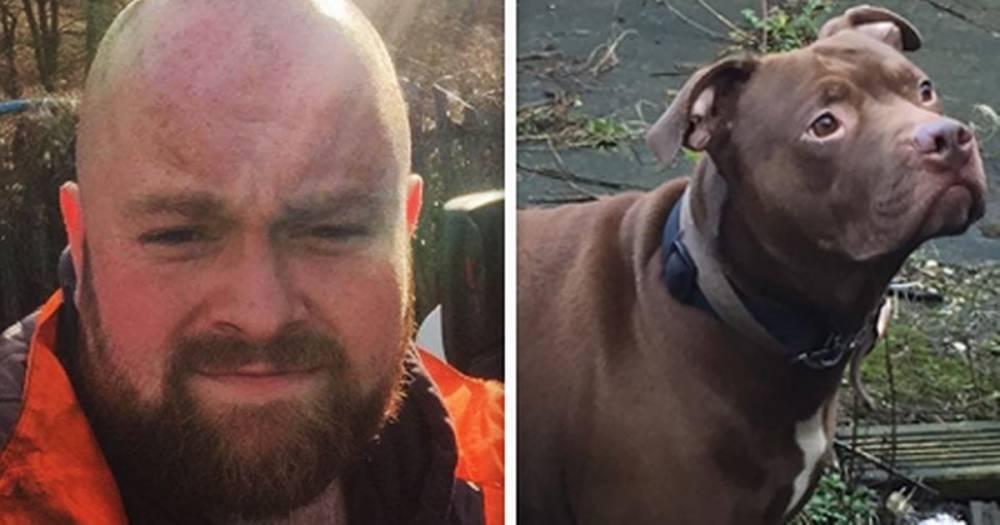 Man dies after being mauled by his dog during medical episode - www.manchestereveningnews.co.uk