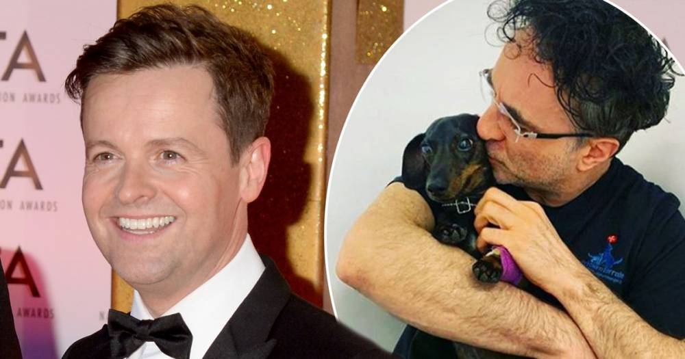 Declan Donnelly praises Supervet Noel Fitzpatrick for saving dog Rocky’s life after he was attacked by a fox - www.ok.co.uk