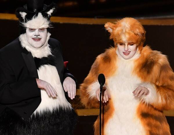 Cats During the 2020 Oscars - www.eonline.com - Los Angeles