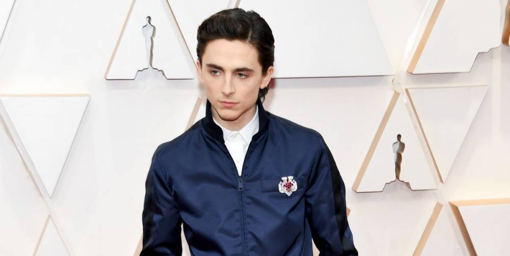 Timothée Chalamet Arrived at the Oscars In a Meme-Worthy Outfit - www.marieclaire.com