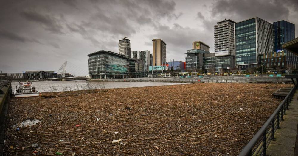 There's another huge floating island of rubbish in Salford Quays after Storm Ciara ripped through the region - www.manchestereveningnews.co.uk - Centre - county Quay
