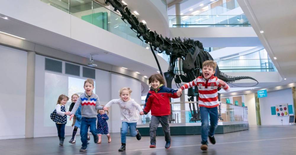 Amazing timelapse video shows Dippy the dinosaur skeleton being reconstructed in Rochdale - www.manchestereveningnews.co.uk - Britain - London