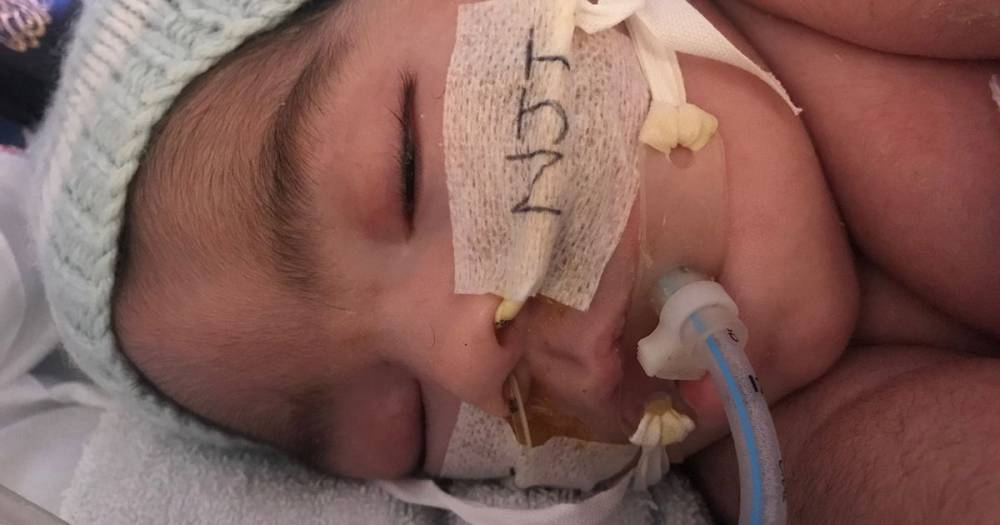 Baby at centre of High Court battle declared brain dead is 'still growing', parents' lawyer claims - www.manchestereveningnews.co.uk - London - Manchester