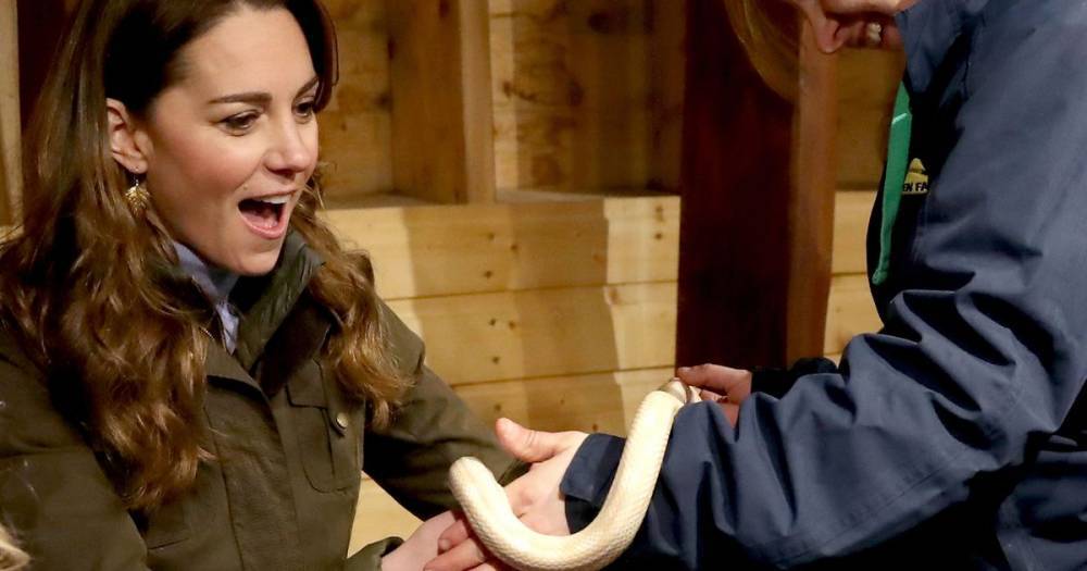 Kate Middleton is a natural during surprise visit to Belfast farm as she feeds lambs and holds a snake - www.ok.co.uk - Ireland