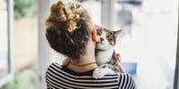 Study shows cats mirror their owners' personality traits - www.lifestyle.com.au - Britain - Lincoln