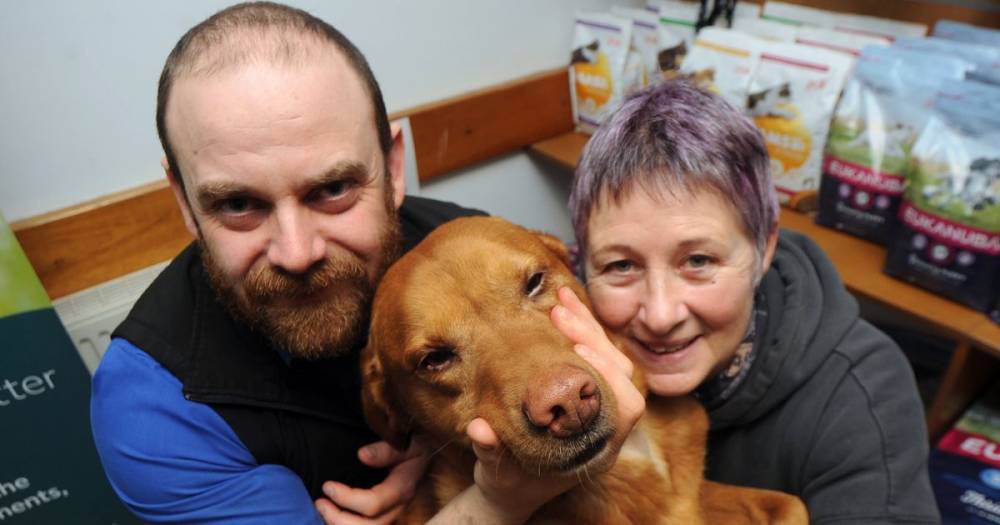 Bereaved Kirkcudbright dog owner praises vets for "going above and beyond" in bid to save tragic pet - www.dailyrecord.co.uk
