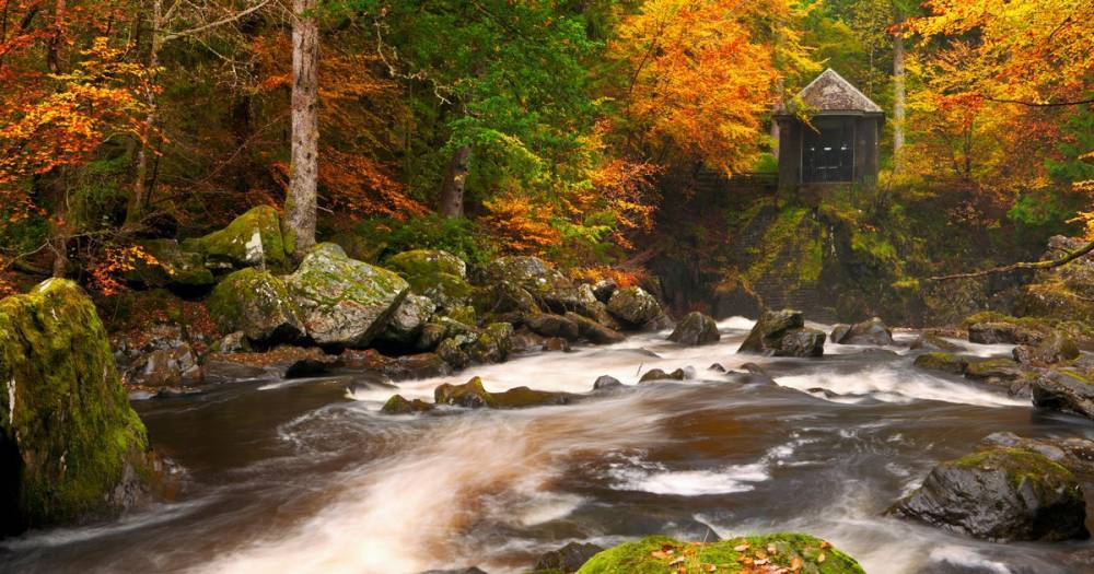 The Hermitage in Perthshire named one of Scotland's most romantic places - www.dailyrecord.co.uk - Scotland