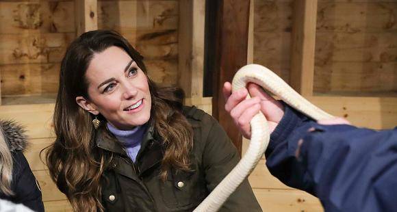 Kate Middleton seems super chilled as she holds a snake during farm visit in Northern Ireland; See Pics - www.pinkvilla.com - Ireland