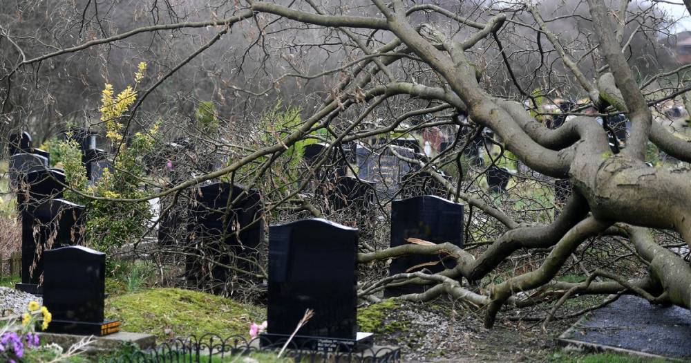 Storm Dennis sends tree crashing onto graves in Chadderton cemetery - www.manchestereveningnews.co.uk - Manchester - county Oldham