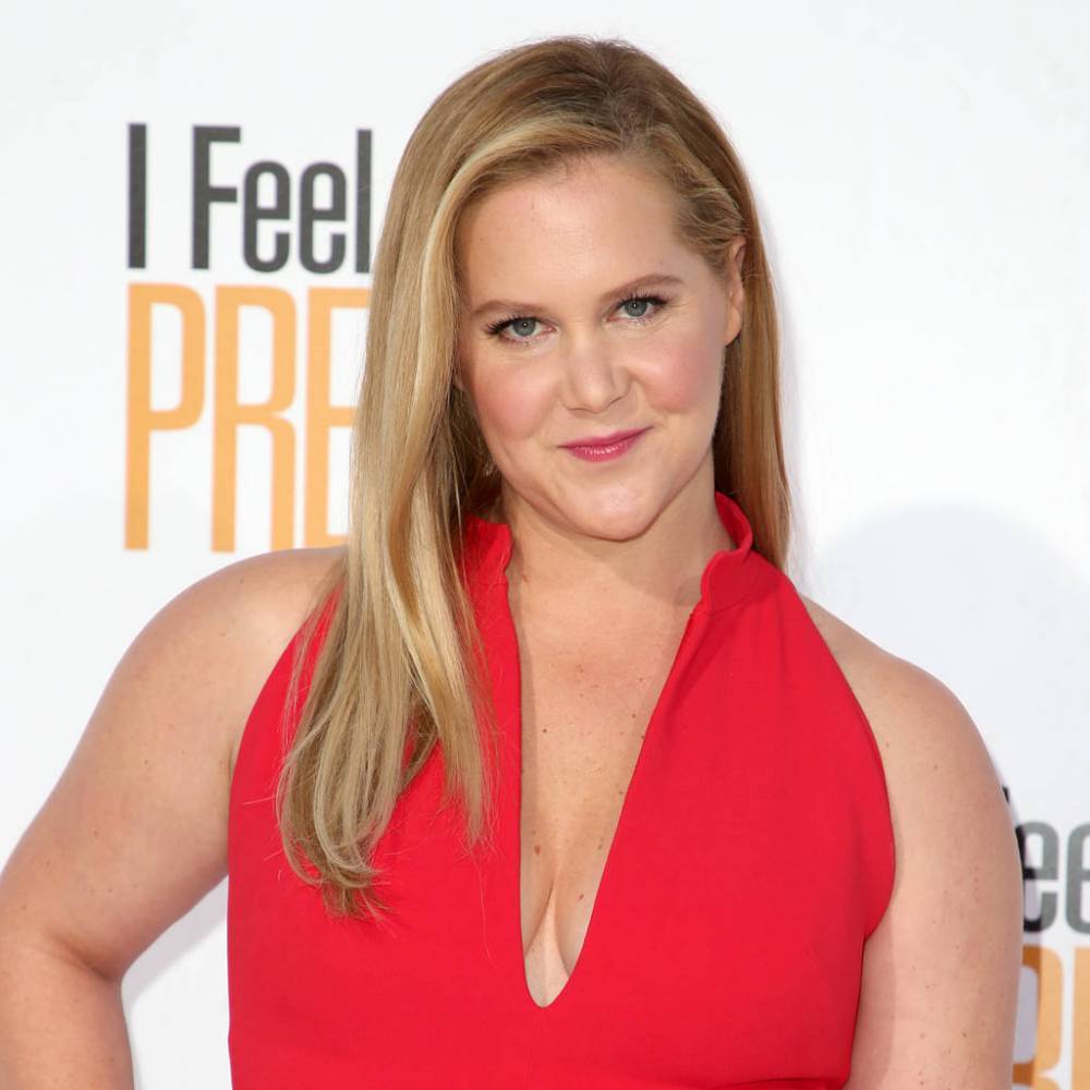 Amy Schumer ‘lucky’ to have one healthy embryo amid ongoing IVF process - www.peoplemagazine.co.za