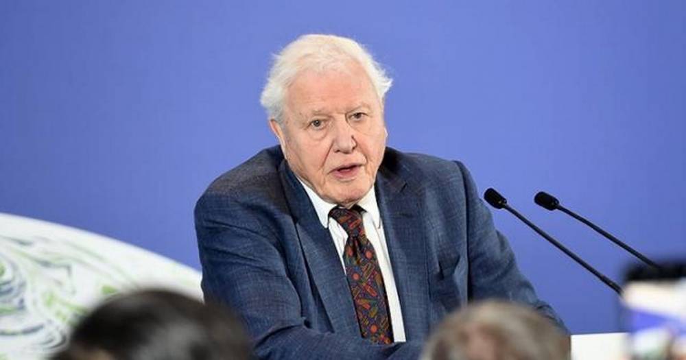 Perth pupils to attend dinner with Sir David Attenborough - www.dailyrecord.co.uk - Scotland