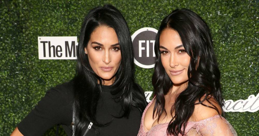 Nikki and Brie Bella Shut Down Rumors That They Did IVF Together to Get Pregnant: ‘We Did Not Plan on Being Pregnant Together’ - www.usmagazine.com