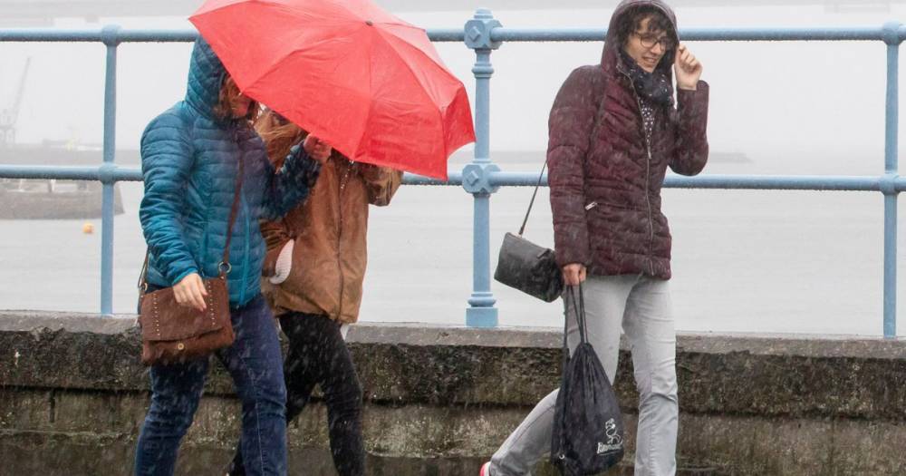 Scotland faces heavy rain and gale force winds as three yellow weather warnings issued - www.dailyrecord.co.uk - Scotland