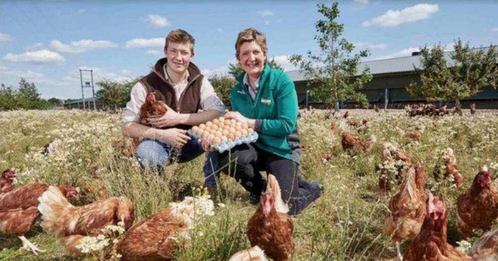 Morrisons to become the first major supermarket to sell only free range eggs - www.ok.co.uk
