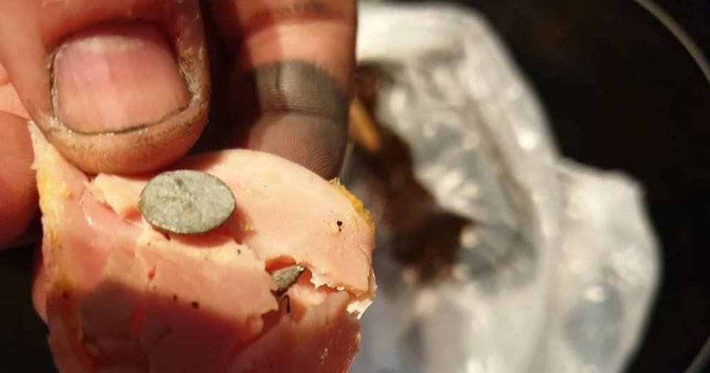 Warning to dog walkers after meat laced with nails and hooks left on a street - www.manchestereveningnews.co.uk - county Denton