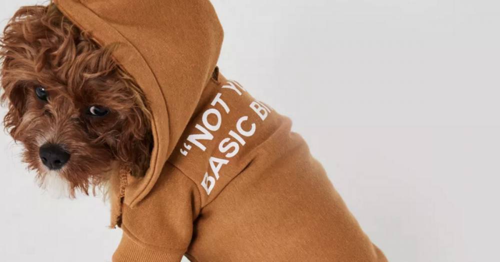 Missguided has launched matching loungewear for dogs and their owners – and we're living for it - www.ok.co.uk