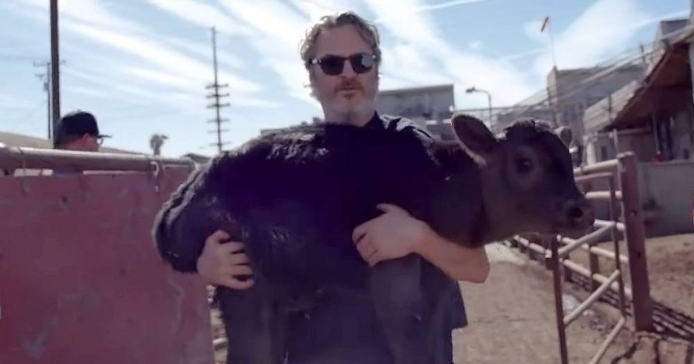 Joaquin Phoenix Rescues Cow and Her Newborn Calf From Slaughterhouse After Promoting Animal Rights at Oscars - www.usmagazine.com - California