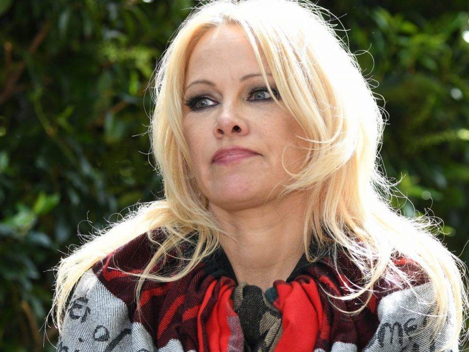 Pamela Anderson's ex Jon Peters off market three weeks after split: Report - torontosun.com