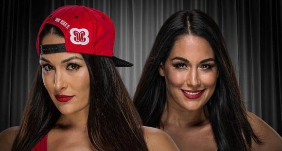 WWE News: Nikki Bella, Brie Bella to be inducted in Hall of Fame; Daniel Bryan and Birdie celebrate with them - www.pinkvilla.com - county Hall