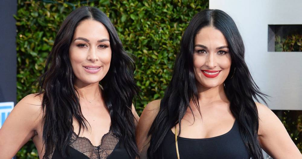 Nikki Bella and Brie Bella to Be Inducted Into WWE Hall of Fame - www.usmagazine.com - Florida