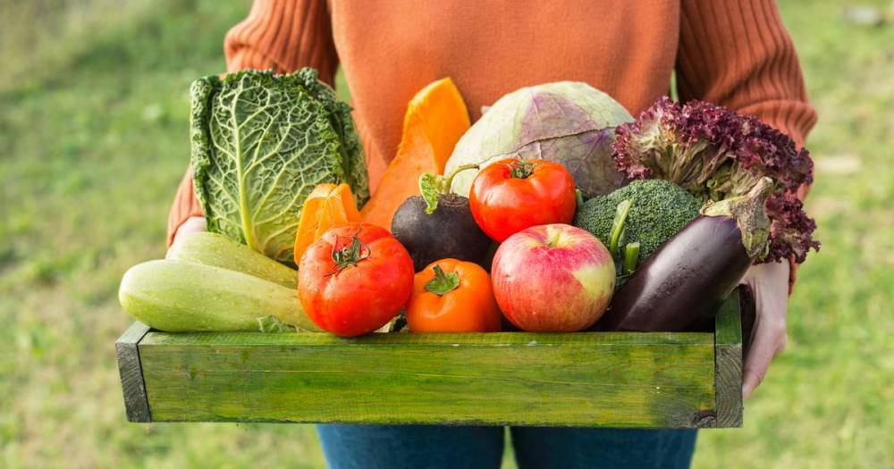 You can cut stroke risk by 25% just by eating 5-a-day of fruit and veg - www.dailyrecord.co.uk - Britain