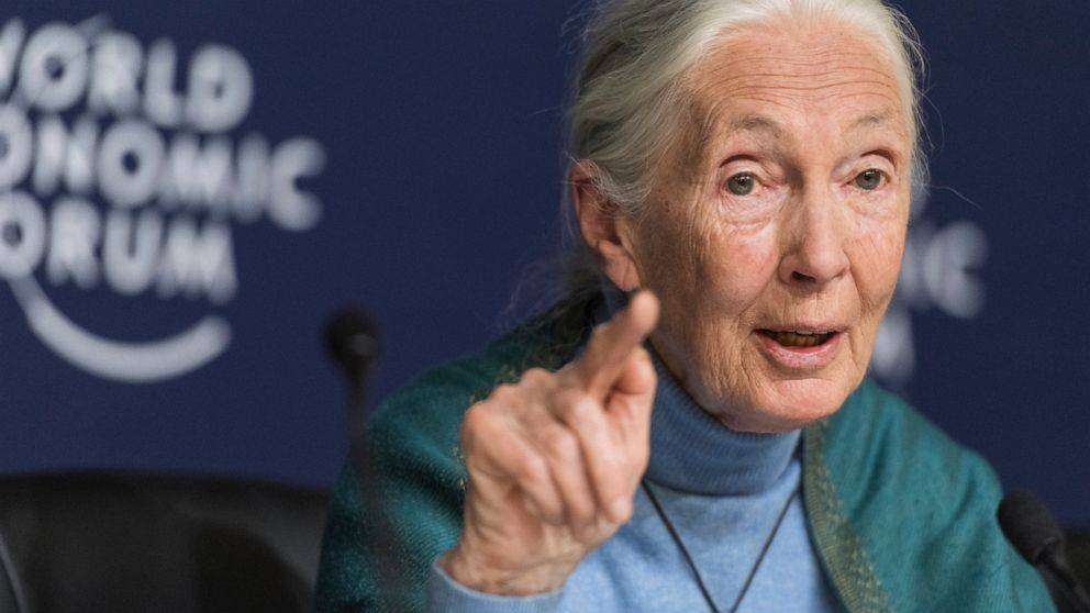 Jane Goodall's 'The Book of Hope' coming out in 2021 - abcnews.go.com - New York