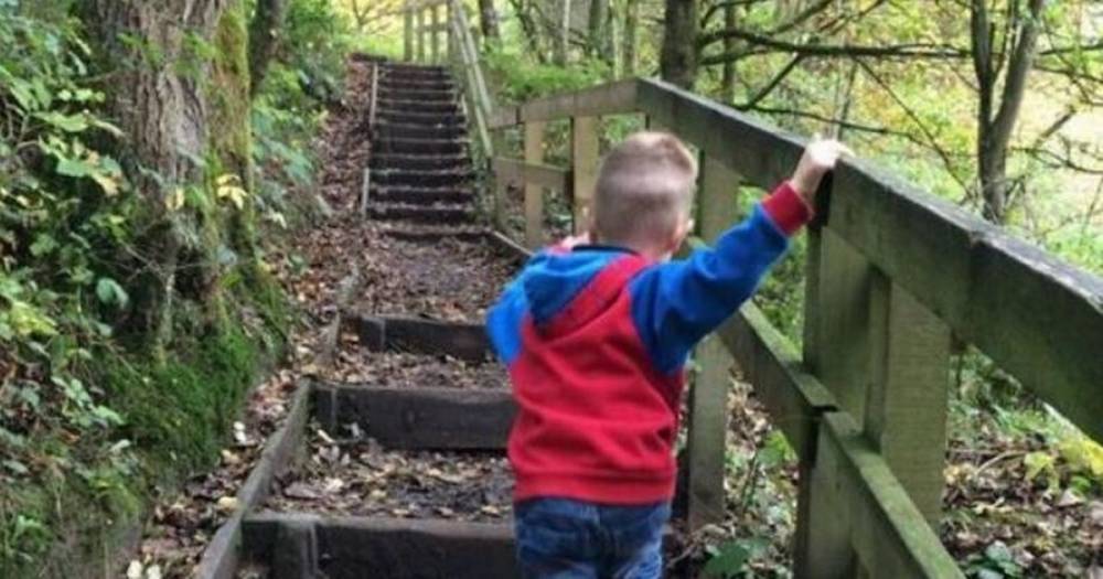 The best family parks and walks in Bury - www.manchestereveningnews.co.uk