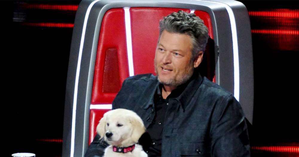 Blake Shelton Tries to Lure The Voice Contestant Away from Nick Jonas' Team with a Puppy - flipboard.com