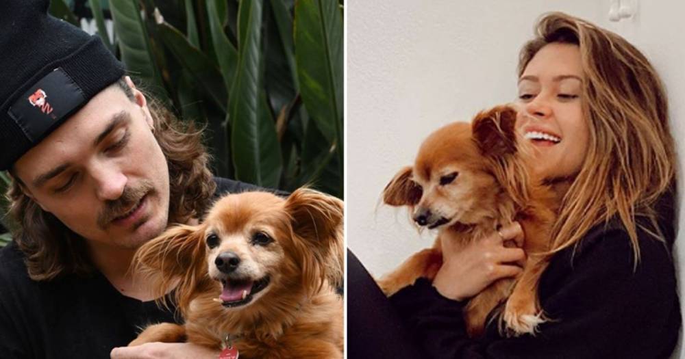 Dean Unglert and Caelynn Miller-Keyes Adopt Senior Rescue Dog Together: ‘We Couldn’t Happier’ - www.usmagazine.com