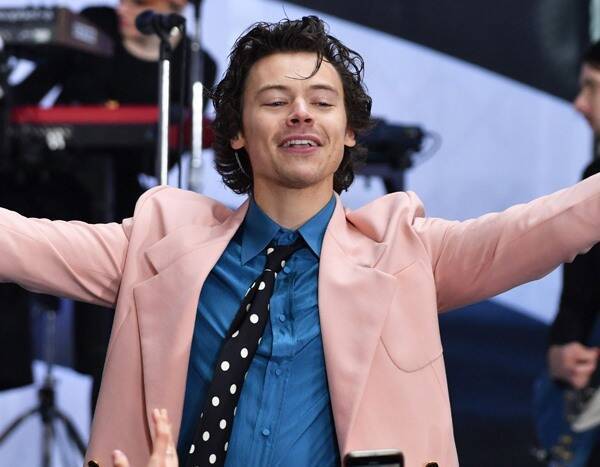 Harry Styles Superfan Falls to the Ground With Excitement After Scoring Concert Tickets - www.eonline.com