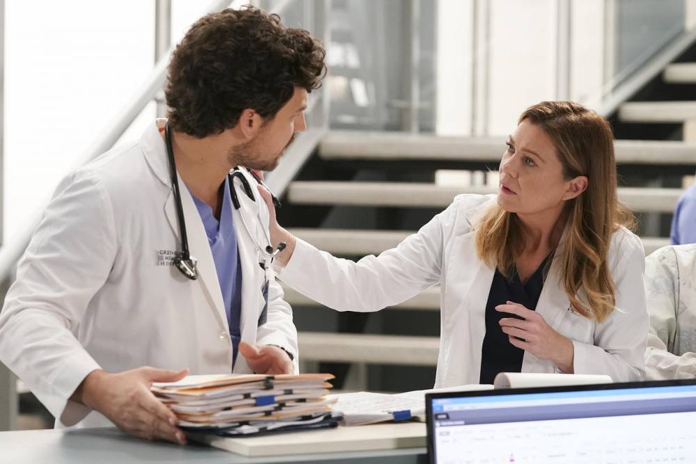 Grey's Anatomy Sneak Peek: Meredith and DeLuca Fight During the Blizzard - www.tvguide.com