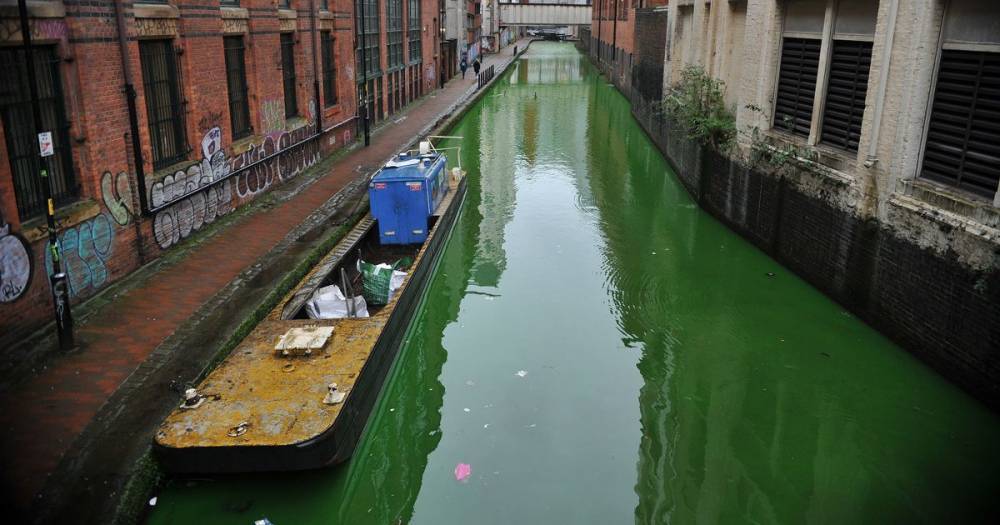 The Rochdale Canal in Manchester city centre has turned green - www.manchestereveningnews.co.uk - Manchester