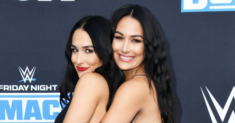 Nikki Bella and Brie Bella’s Baby Bump Album: See Pics From the Twin Sisters’ Pregnancies - www.usmagazine.com
