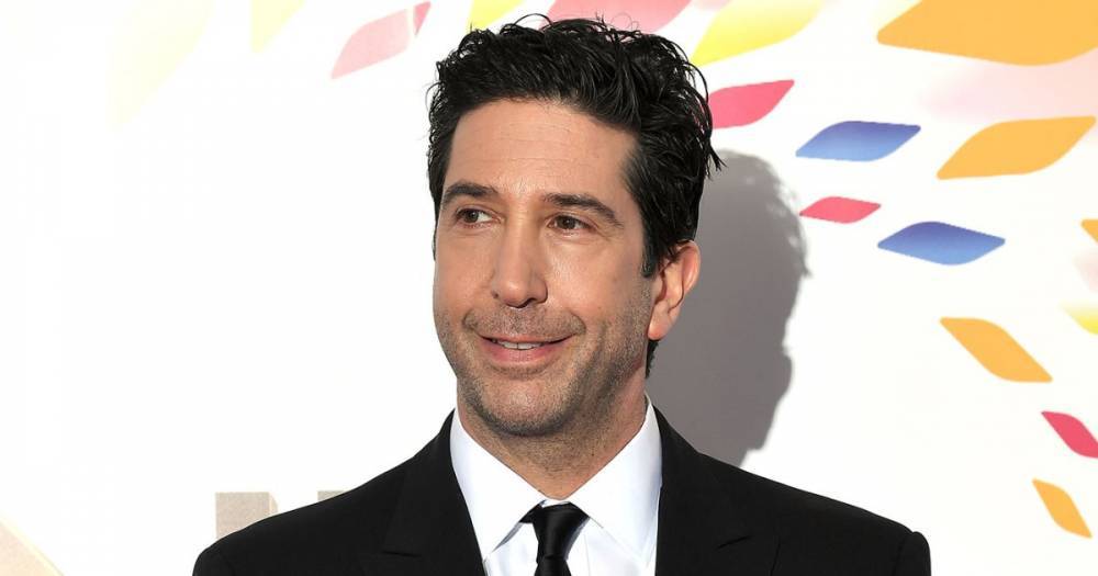 David Schwimmer Reacts to Backlash Following ‘Friends’ Diversity Quotes: ‘I Meant No Disrespect’ - www.usmagazine.com
