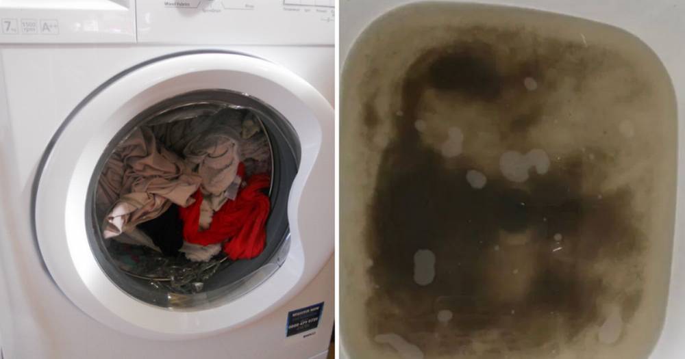 'Disgusting' cleaning method reveals how dirty your washing machine really is - www.manchestereveningnews.co.uk