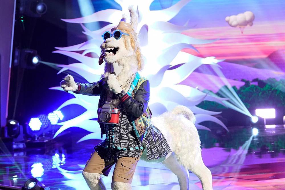 The Masked Singer's Llama Is Your Grandma's Favorite Game Show Host - www.tvguide.com