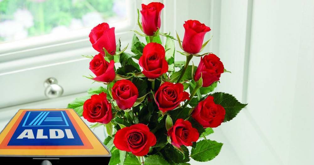 Be-leaf it or not Aldi are selling a dozen red roses for £1.99 - www.dailyrecord.co.uk