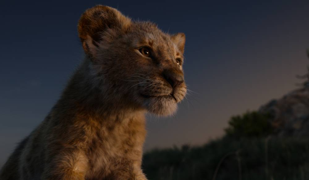 Bob Iger Apologizes To Elementary School For ‘Lion King’ Fundraiser Screening Fee - deadline.com - California - county Berkeley