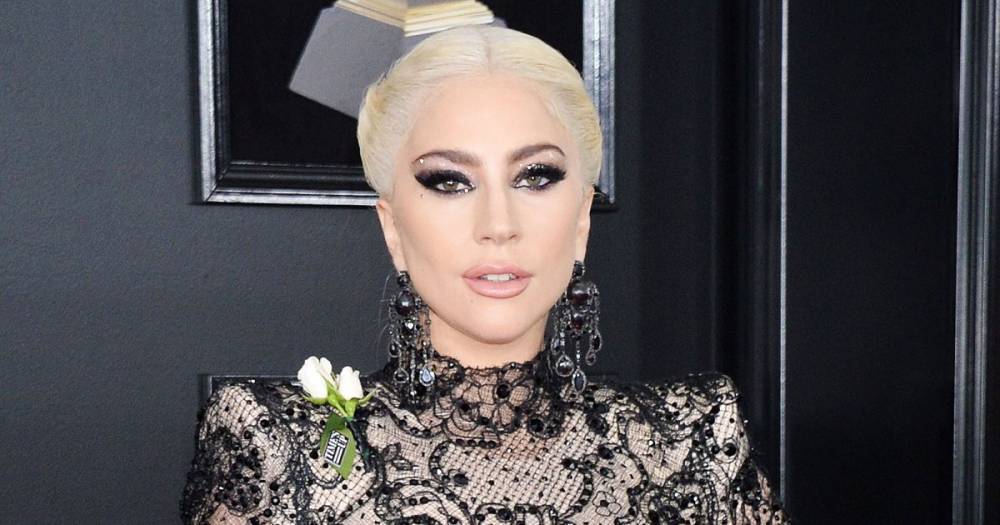 Lady Gaga Is ‘Having Fun’ in New Relationship With Michael Polansky: ‘They Are Not Serious’ - www.usmagazine.com - Miami