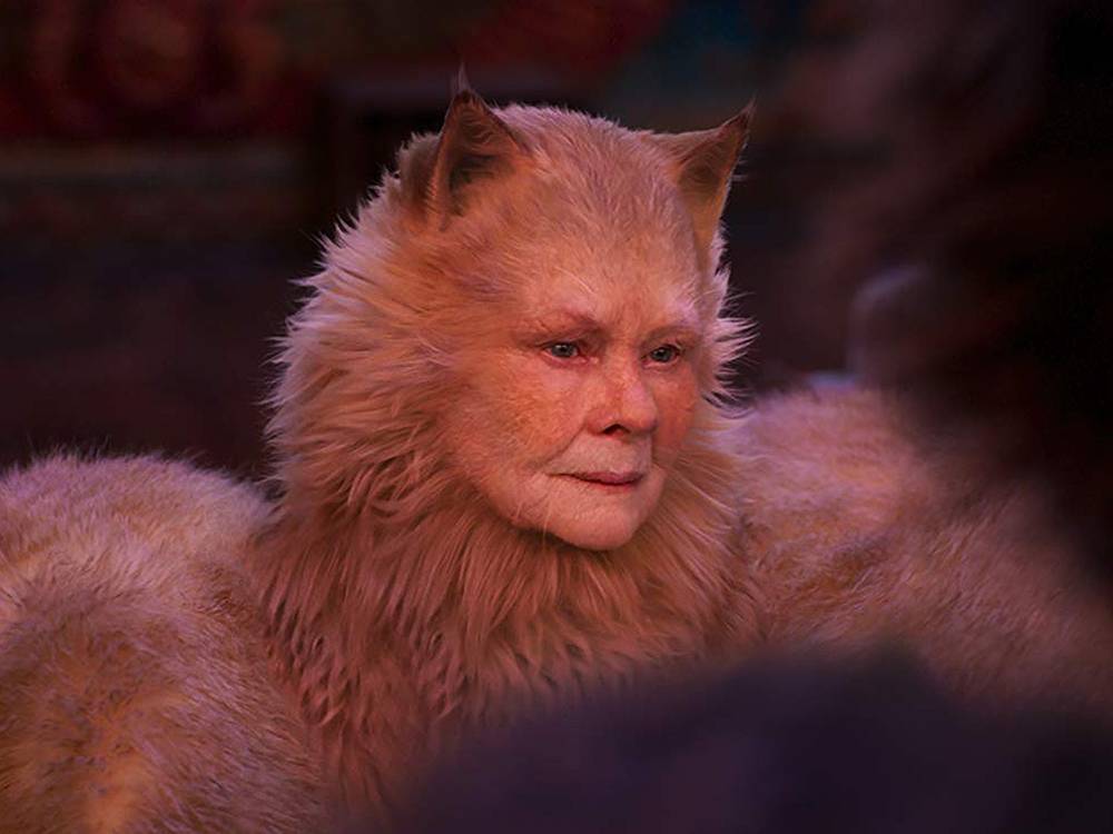 INTO THE LITTER BOX: 'Cats' and its furry stars nominated for Razzie awards - torontosun.com