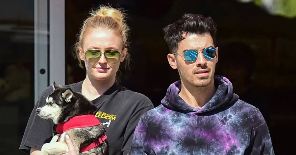 Pregnant Sophie Turner Covers Baby Bump With Puppy While Out With Joe Jonas - www.usmagazine.com - Los Angeles