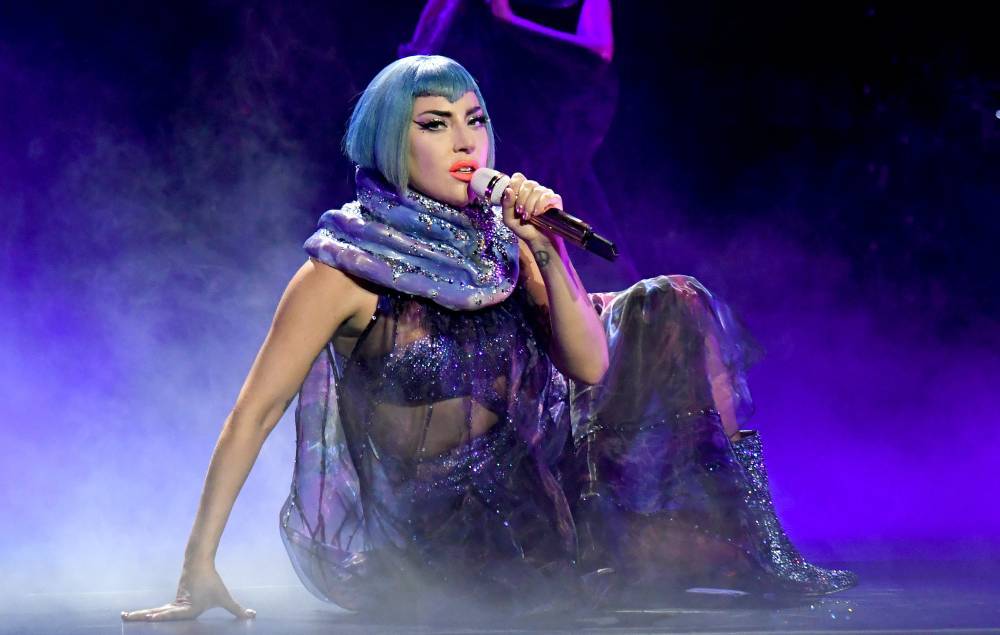 New insect species with “wacky fashion sense” named after Lady Gaga - www.nme.com - Illinois
