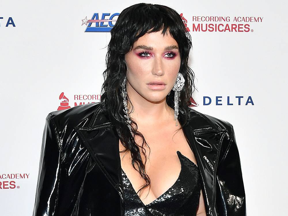 Kesha fights to overturn defamation ruling - torontosun.com - USA